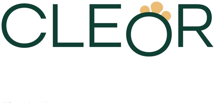 Proposta di logo Ornus: CLEOR in verde con la O trasformata in ornamento